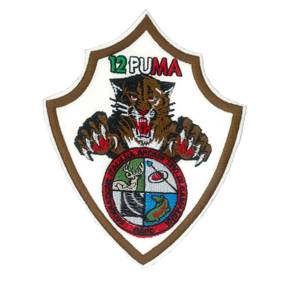 patch ricamata puma